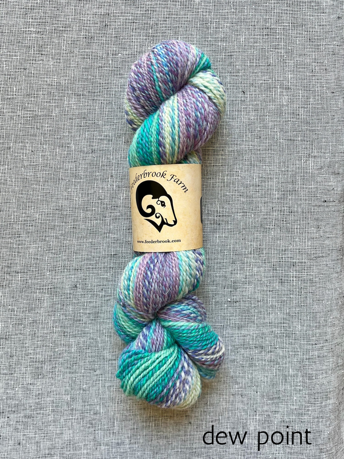 Feederbrook Farm DK weight Blue faced leicester yarn in dew point
