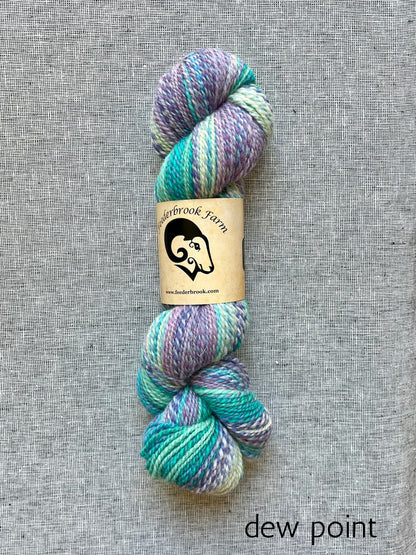 Feederbrook Farm DK weight Blue faced leicester yarn in dew point