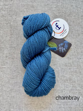 Load image into Gallery viewer, Forage Color Polwarth DK
