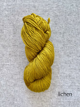 Load image into Gallery viewer, Forage Color Polwarth DK
