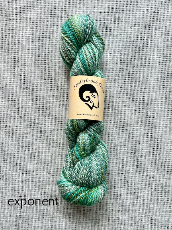 Double Ended Needle Keeper — String Theory Yarn Co