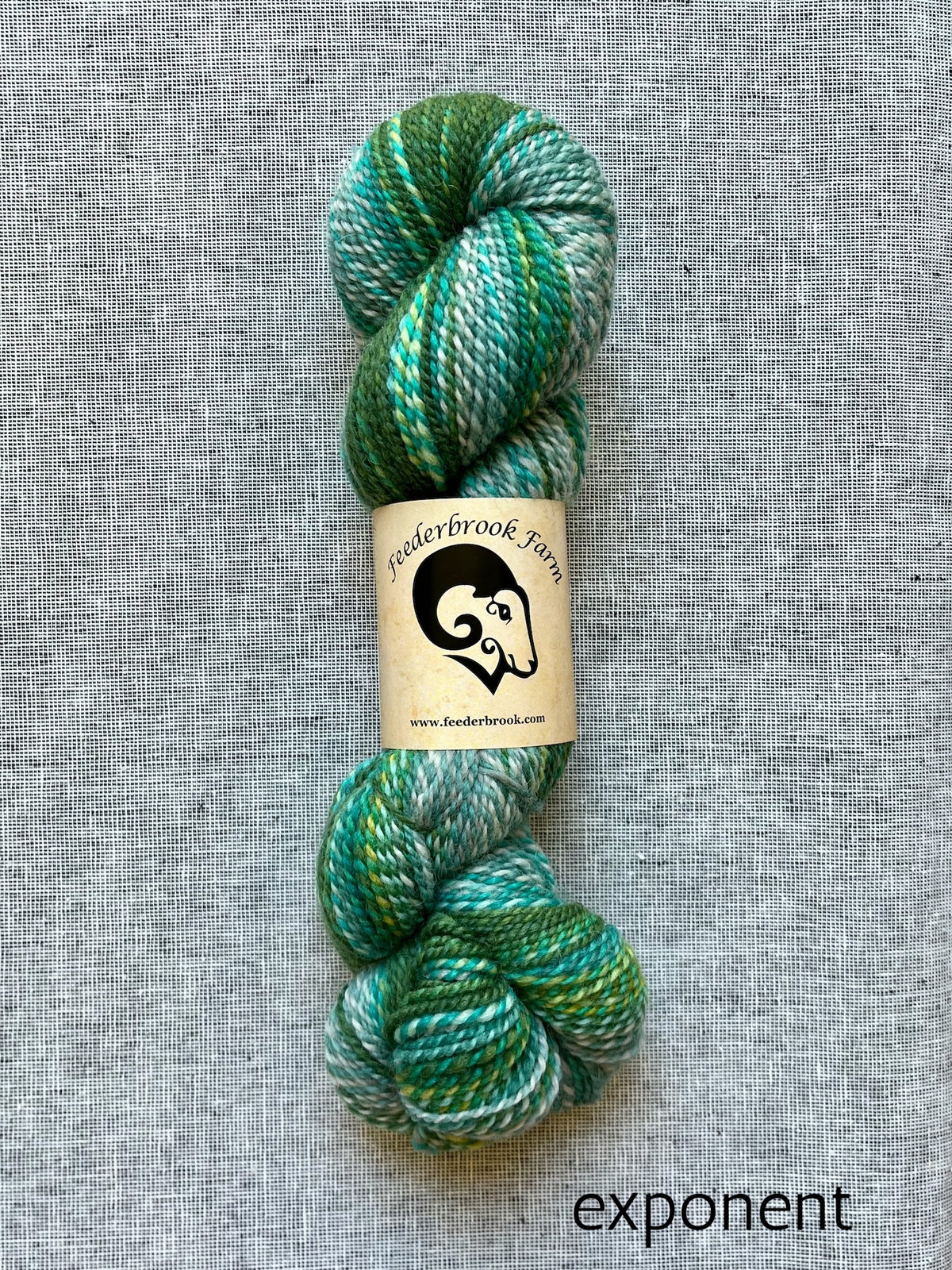 Feederbrook Farm DK weight Blue faced leicester yarn in exponent