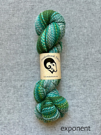 Feederbrook Farm DK weight Blue faced leicester yarn in exponent