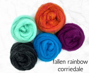World of Wool Roving Bundles