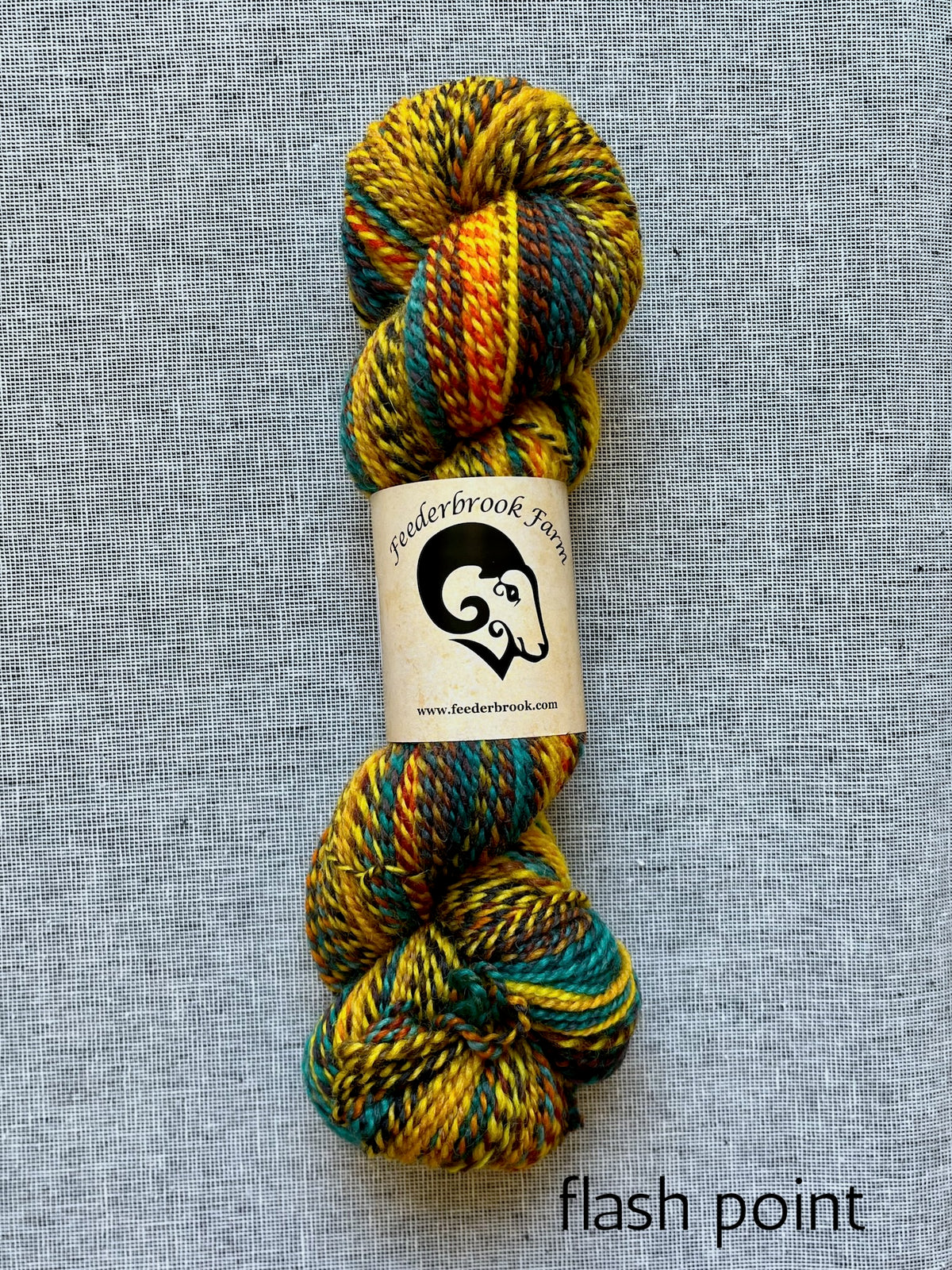 Feederbrook Farm DK weight Blue faced leicester yarn in flash point