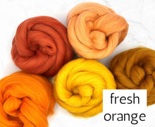 Load image into Gallery viewer, World of Wool Roving Bundles
