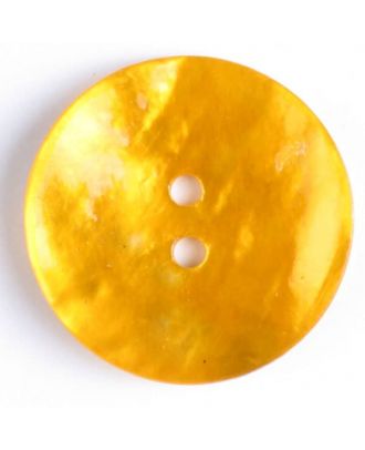 300905 gold natural shell 18mm