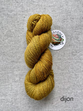 Load image into Gallery viewer, Helen Yarn ~ Fingering
