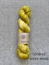 Load image into Gallery viewer, Bodacious Bulky by Emma&#39;s Yarn (bulky)
