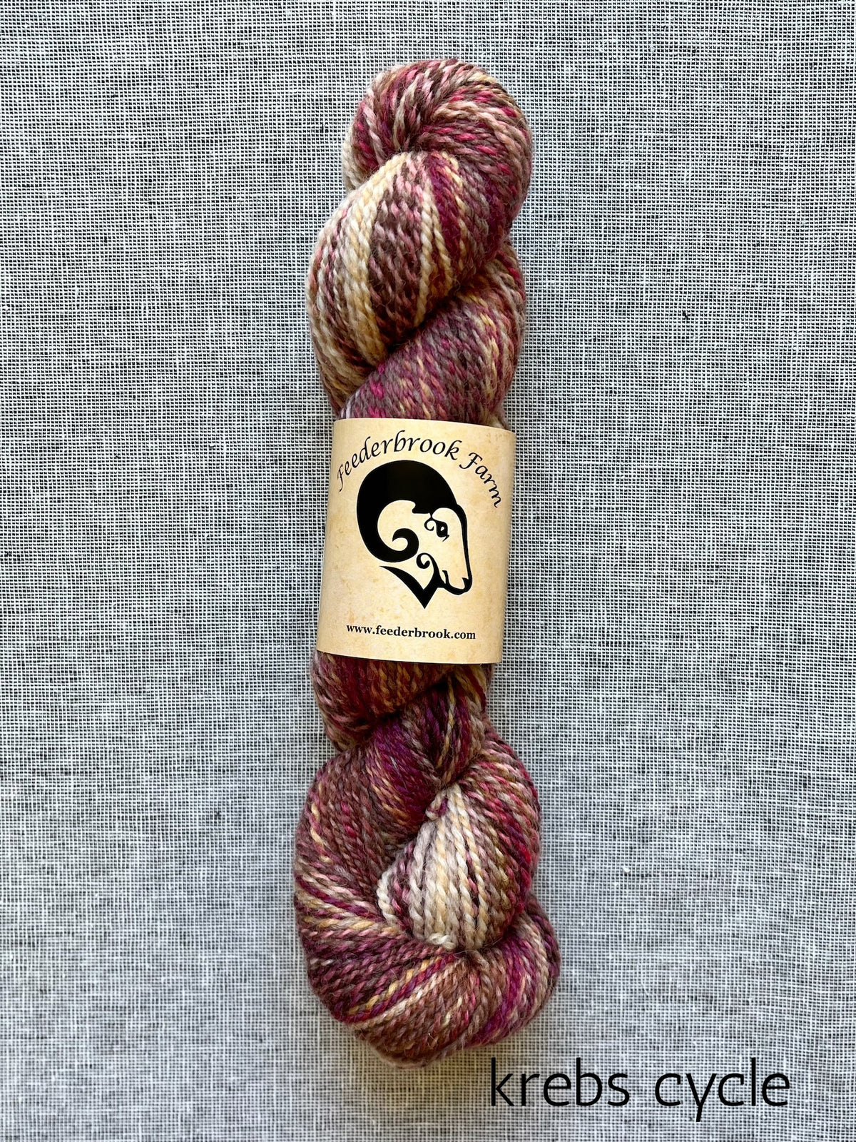 Feederbrook Farm DK weight Blue faced leicester yarn in krebs cycle