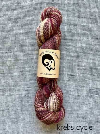 Feederbrook Farm DK weight Blue faced leicester yarn in krebs cycle