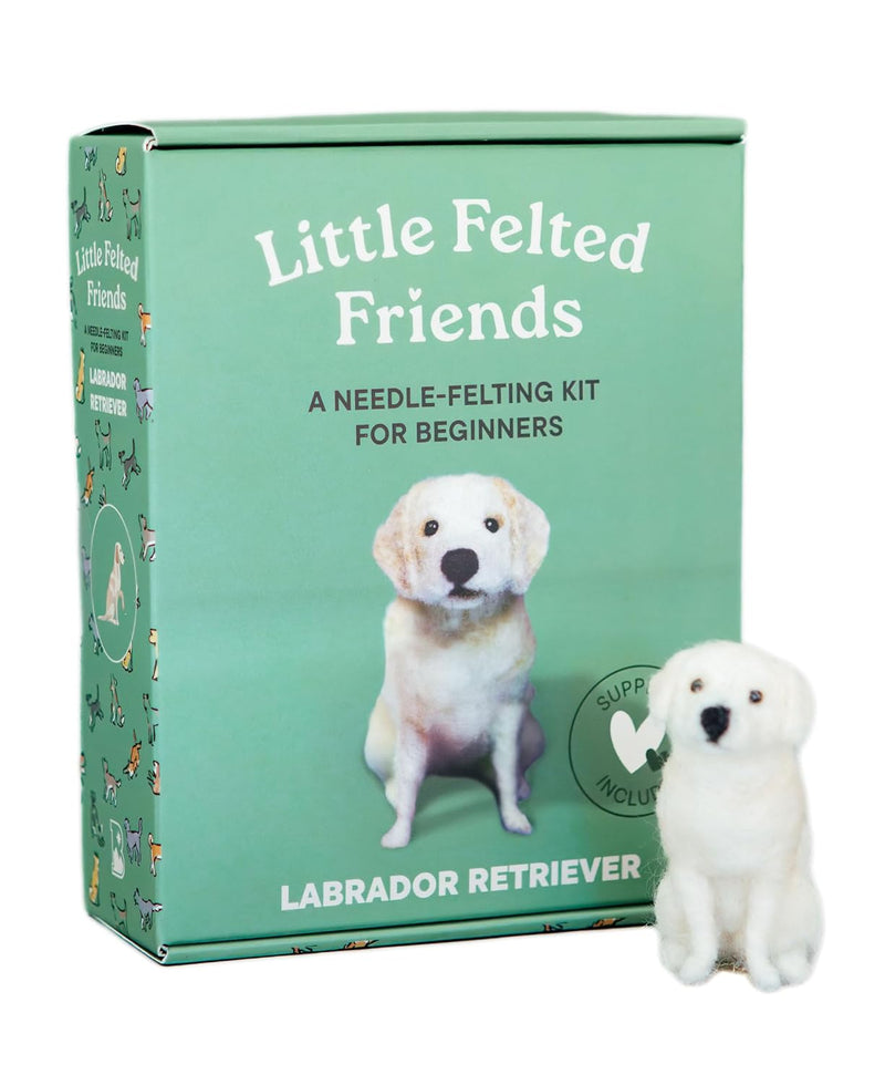 labrador retriever