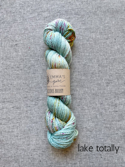 Emma's Yarn Bodacious Bulky superwash merino wool yarn in lake totally