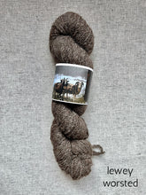 Load image into Gallery viewer, Jacob Fleece Farm Worsted &amp; DK
