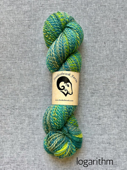Feederbrook Farm DK weight Blue faced leicester yarn in logarithm