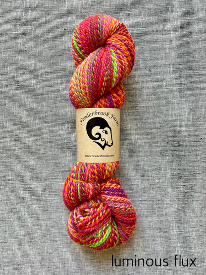 Feederbrook Farm DK weight Blue faced leicester yarn in luminous flux