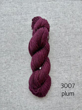 Load image into Gallery viewer, Luna by Symfonie Hand Dyed Yarns (dk)
