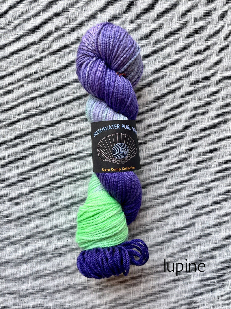lupine