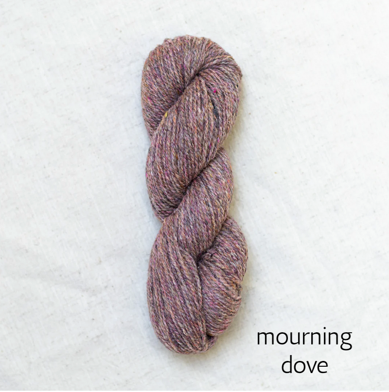 mourning dove