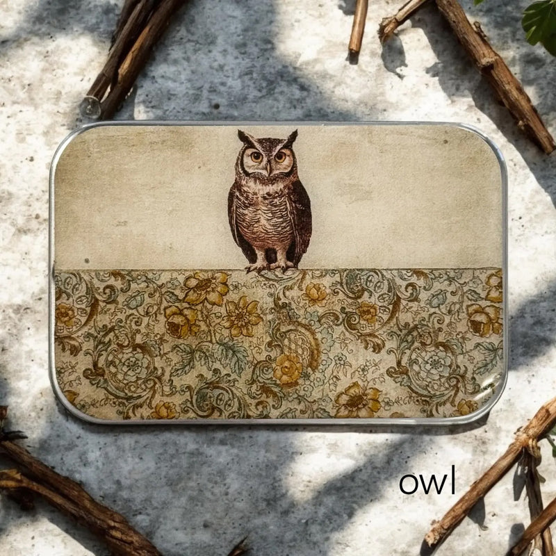 owl