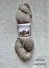 Load image into Gallery viewer, Jacob Fleece Farm Worsted &amp; DK
