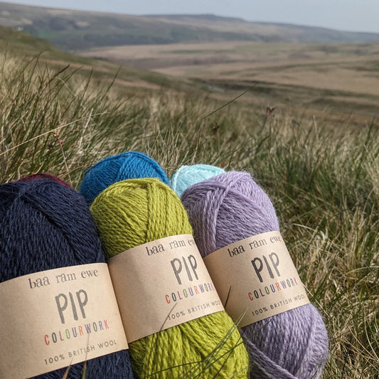 Pip Colourwork, Naturals & Tweedle by Baa Ram Ewe (fingering)