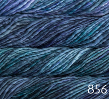 Load image into Gallery viewer, Malabrigo Rasta (super bulky)
