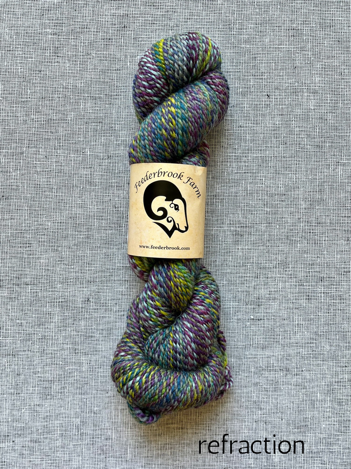 Feederbrook Farm DK weight Blue faced leicester yarn in refraction