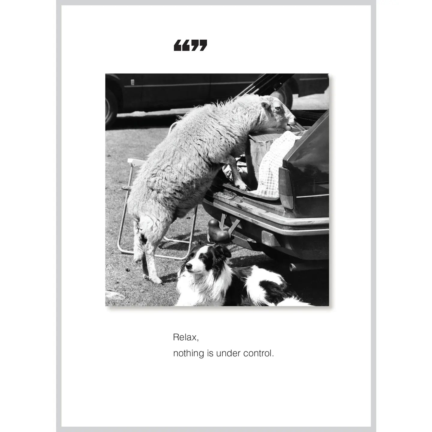 Greeting Cards by Borealis Press