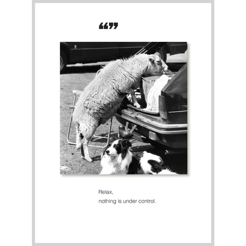 Relax nothing is under control / blank (sheep & dog)