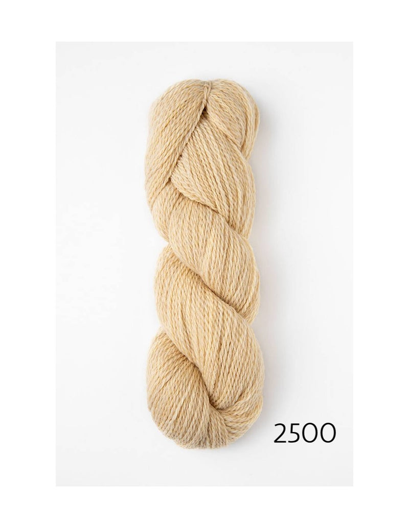 2500 morning light