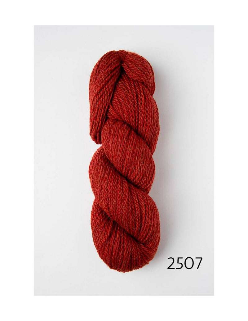 2507 volcanic eruption