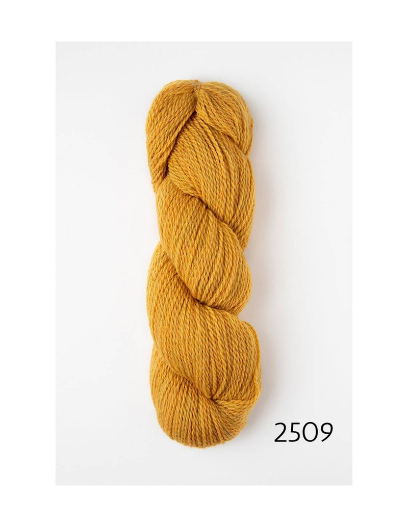 2509 golden sun