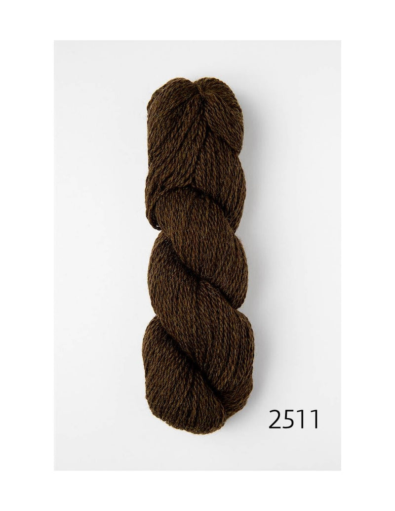 2511 forest