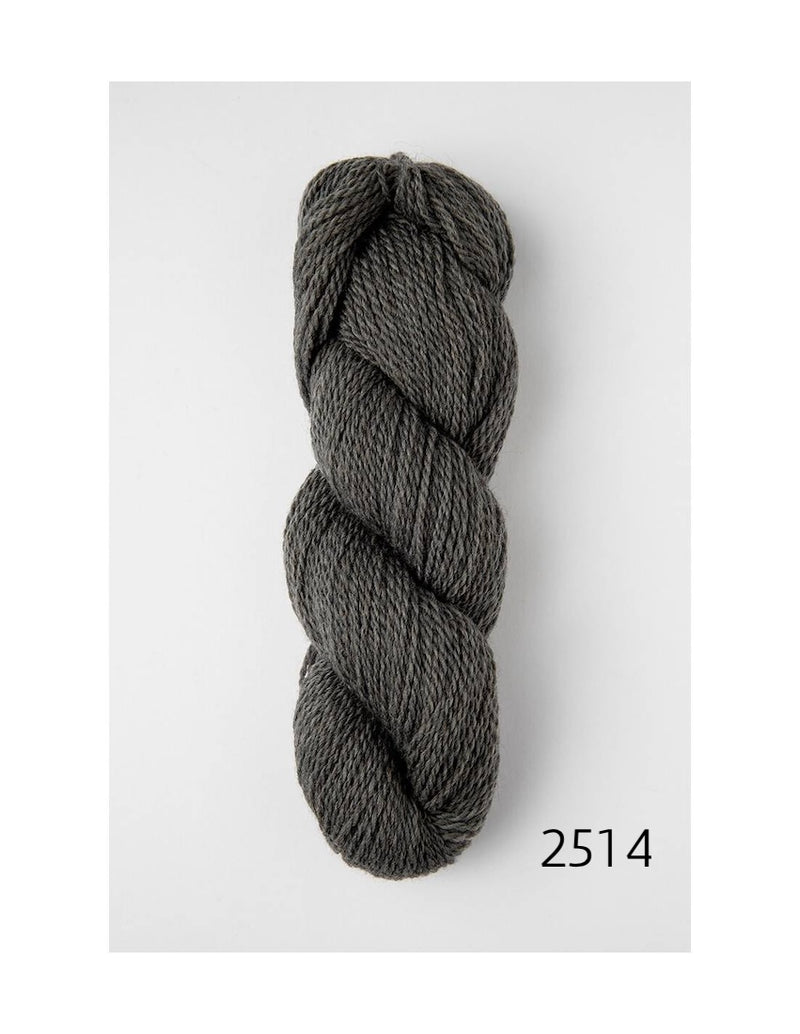 2514 avalanche