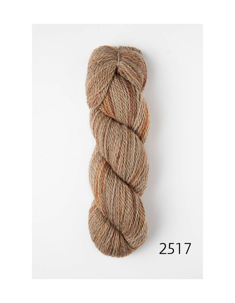 2517 andesine