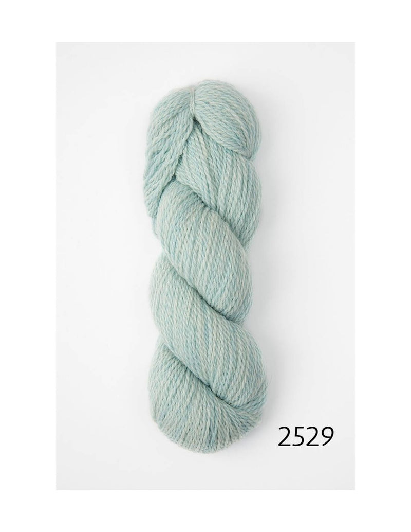 2529 glacier