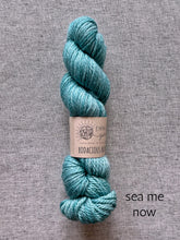 Load image into Gallery viewer, Bodacious Bulky by Emma&#39;s Yarn (bulky)
