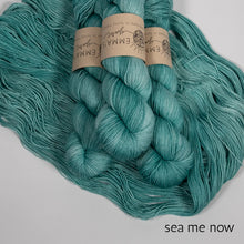 Load image into Gallery viewer, Slubby Slub by Emma&#39;s Yarn (fingering)
