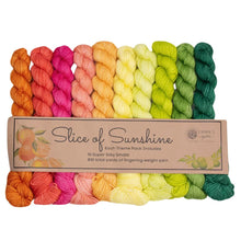 Load image into Gallery viewer, Super Silky Theme Pack by Emma&#39;s Yarn (fingering)
