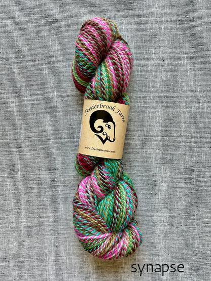 Feederbrook Farm DK weight Blue faced leicester yarn in synapse