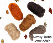 Load image into Gallery viewer, World of Wool Roving Bundles
