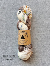 Load image into Gallery viewer, Madelinetosh Tosh Merino Light (fingering)
