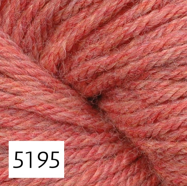 5195 Macaron