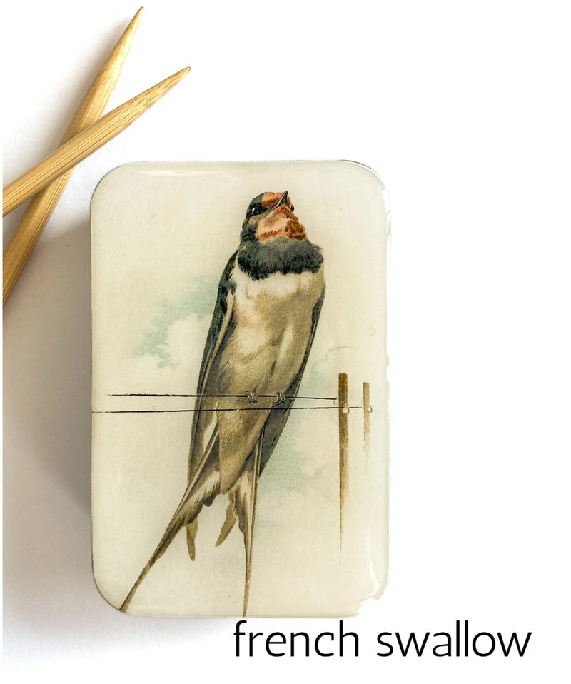 small :: french swallow