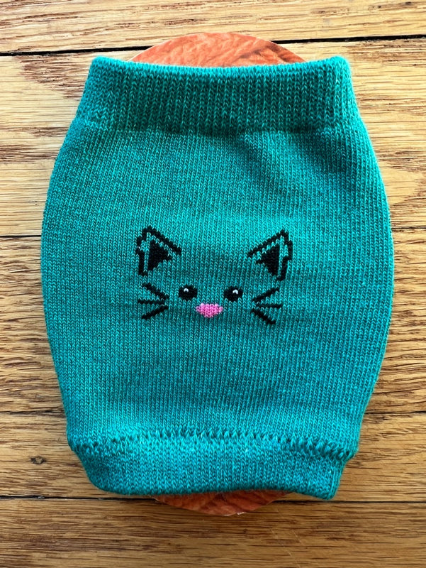 teal cat