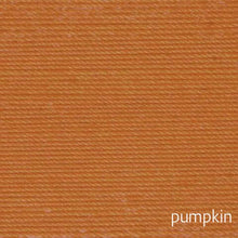 Load image into Gallery viewer, Aunt Lydia&#39;s Classic 10 Crochet Thread

