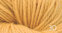 Load image into Gallery viewer, Prairie Spun by Brown Sheep Company (dk)
