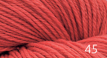 Load image into Gallery viewer, Prairie Spun by Brown Sheep Company (dk)
