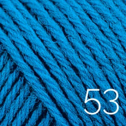 53 blue bird